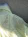 Photo Number 7