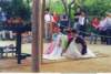 Photo Number 13