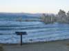 Photo Number 6